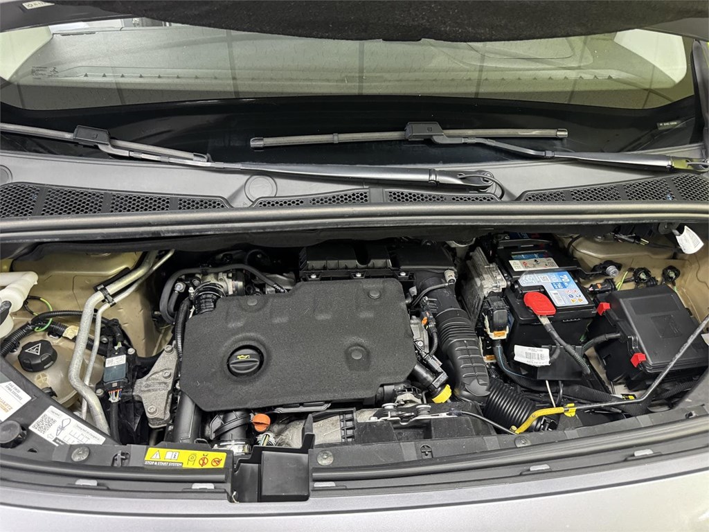 Foto 55 CITROEN BERLINGO XL 