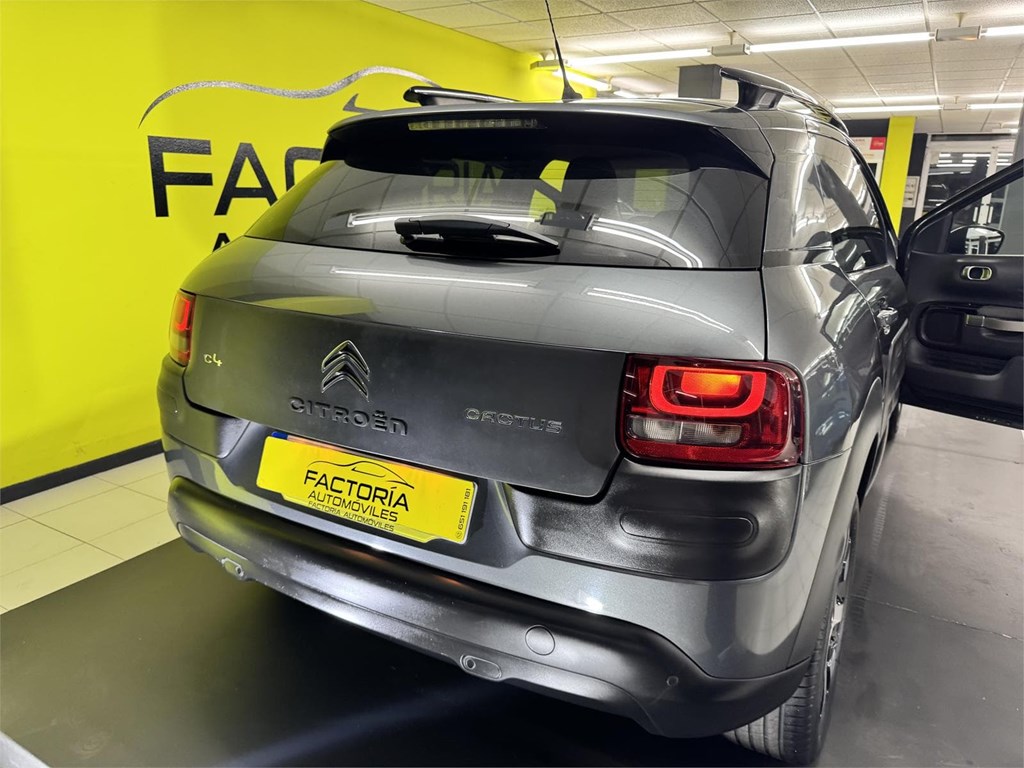 Foto 10 CITROEN C4 CACTUS